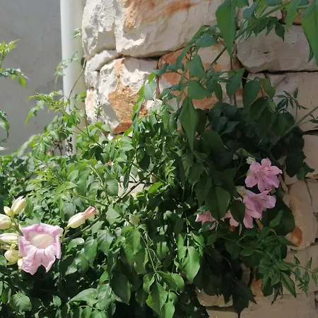 Civico57 Appartamento Torre Suda