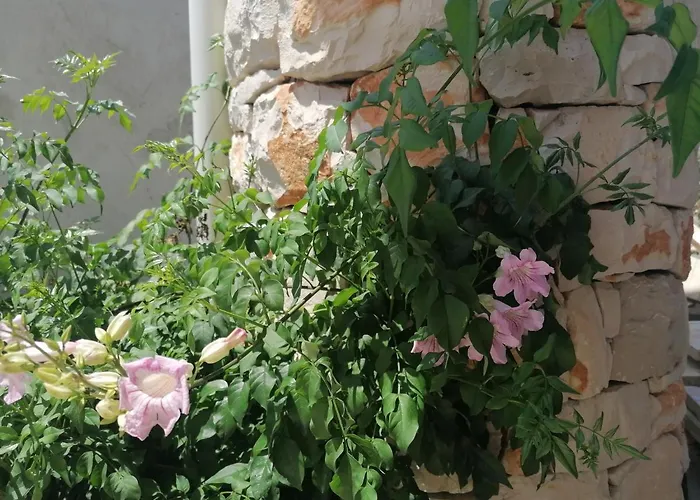 Civico57 Apartmán Torre Suda